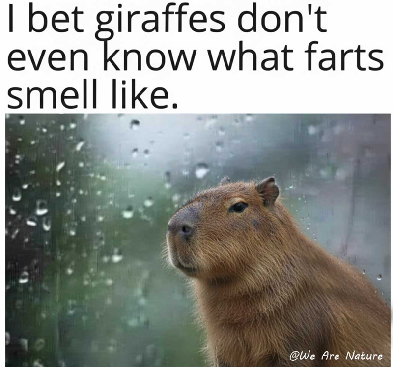 I bet giraffes don't even know what farts smell like. @We Are Nature