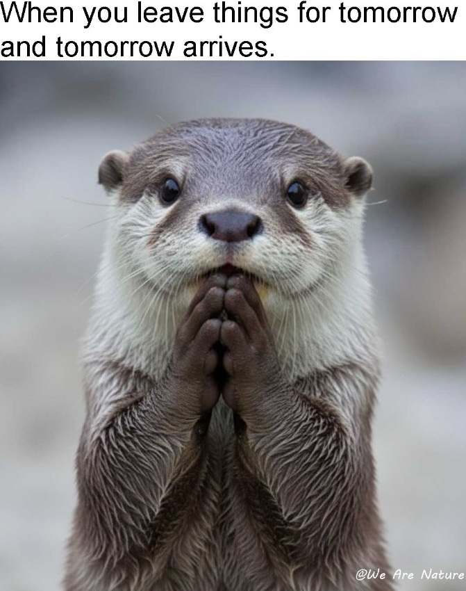 When you leave things for tomorrow and tomorrow arrives. @We Are Nature