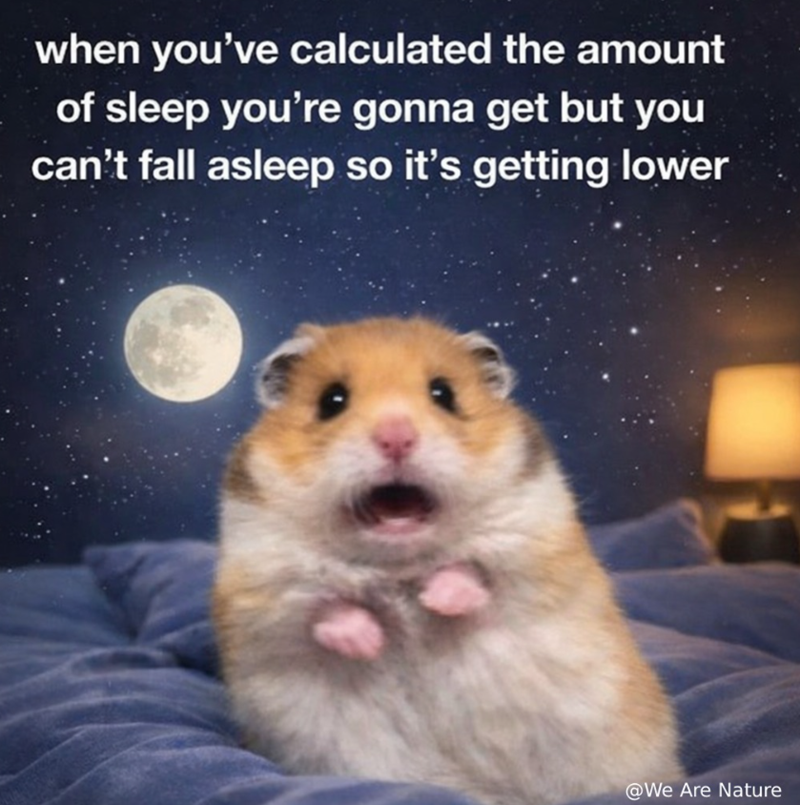 when you've calculated the amount of sleep you're gonna get but you can't fall asleep so it's getting lower @We Are Nature