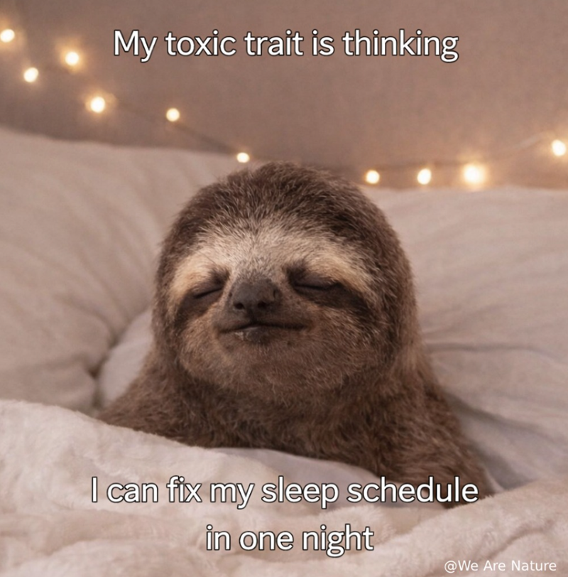 My toxic trait is thinking I can fix my sleep schedule in one night @We Are Nature