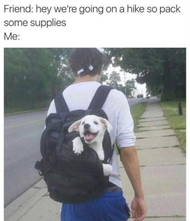 Friend: hey we're going on a hike so pack some supplies Me:
