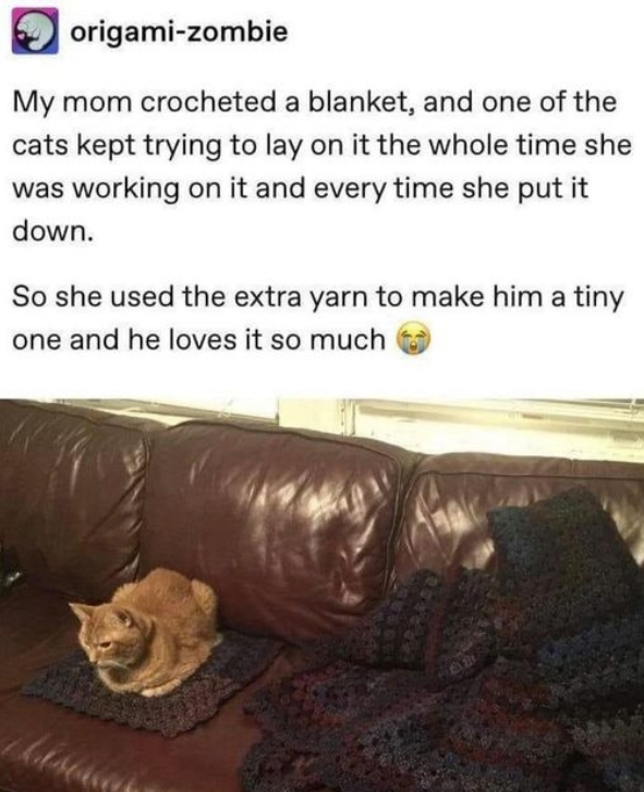 origami-zombie My mom crocheted a blanket, and one of the cats kept trying to lay on it the whole time she was working on it and every time she put it down. So she used the extra yarn to make him a tiny one and he loves it so much