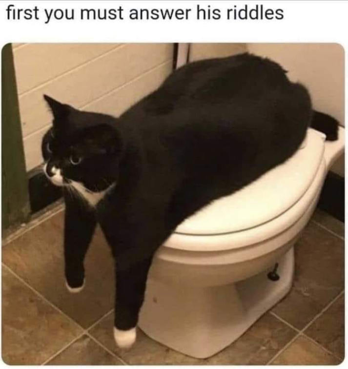 first you must answer his riddles