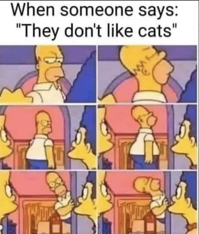 When someone says: "They don't like cats"