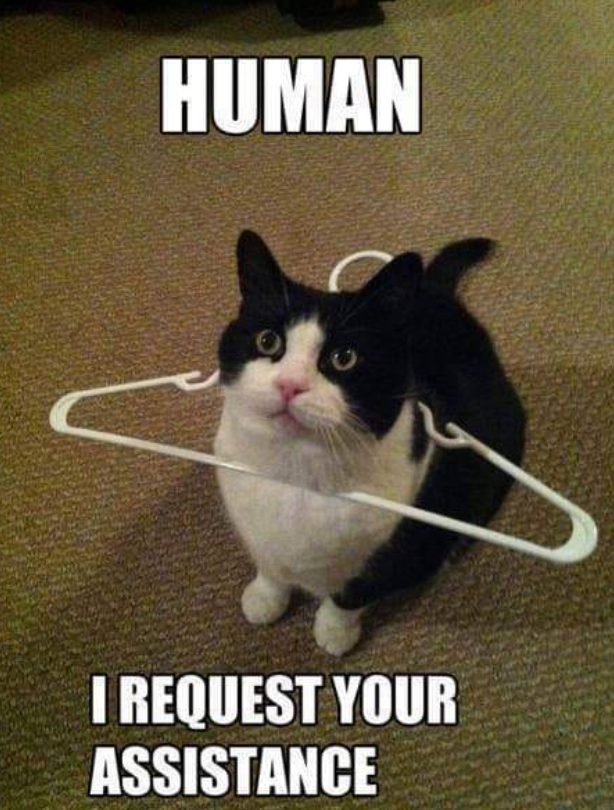 HUMAN I REQUEST YOUR ASSISTANCE