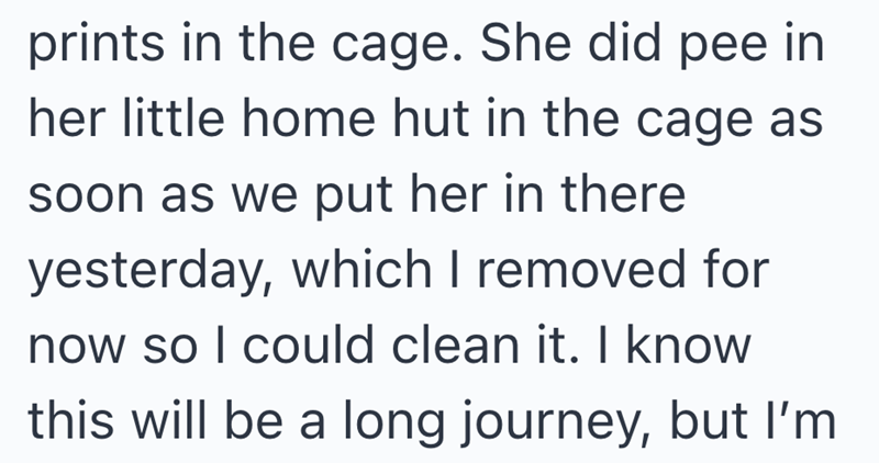 prints in the cage. She did pee in her little home hut in the cage as soon as we put her in there yesterday, which I removed for now so I could clean it. I know this will be a long journey, but I'm