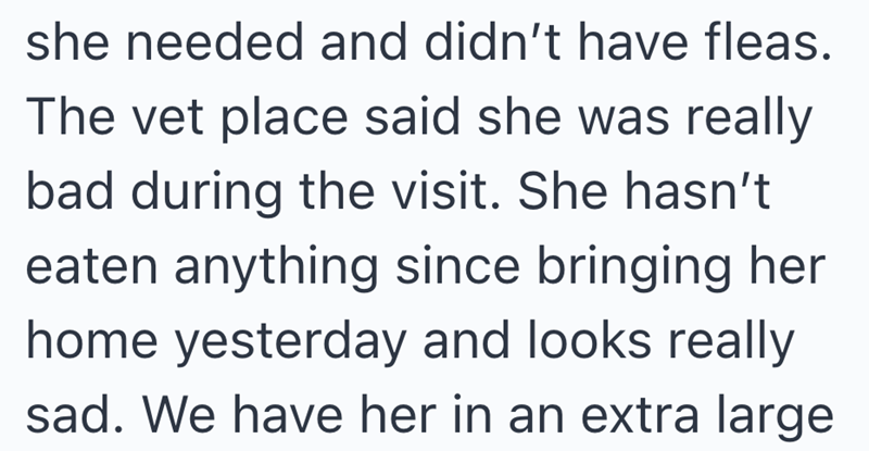 she needed and didn't have fleas. The vet place said she was really bad during the visit. She hasn't eaten anything since bringing her home yesterday and looks really sad. We have her in an extra large
