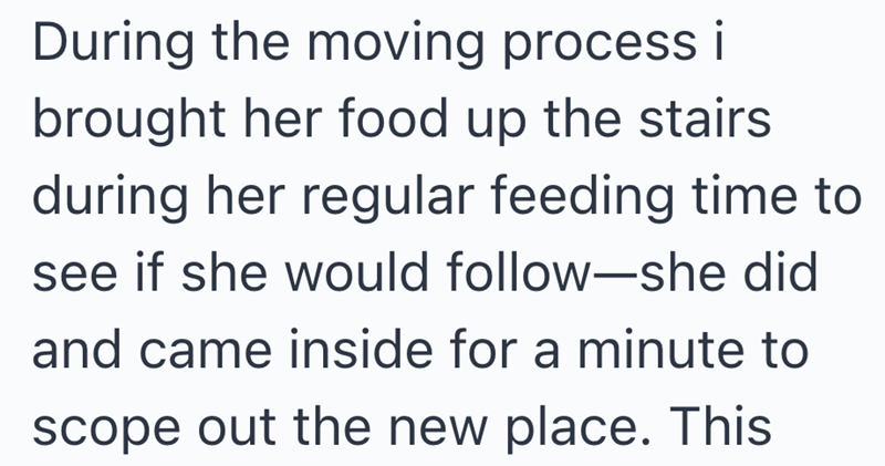 During the moving process i brought her food up the stairs during her regular feeding time to see if she would follow-she did and came inside for a minute to scope out the new place. This