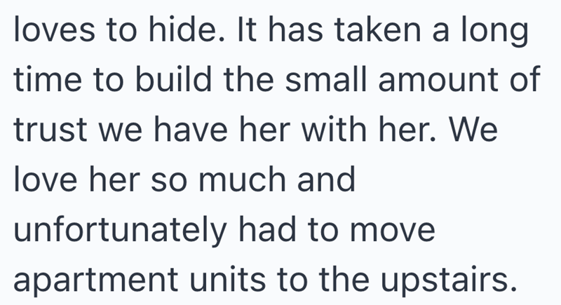 loves to hide. It has taken a long time to build the small amount of trust we have her with her. We love her so much and unfortunately had to move apartment units to the upstairs.