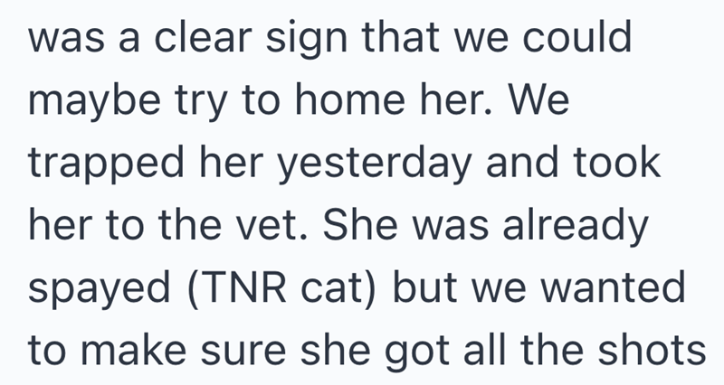 was a clear sign that we could maybe try to home her. We trapped her yesterday and took her to the vet. She was already spayed (TNR cat) but we wanted to make sure she got all the shots