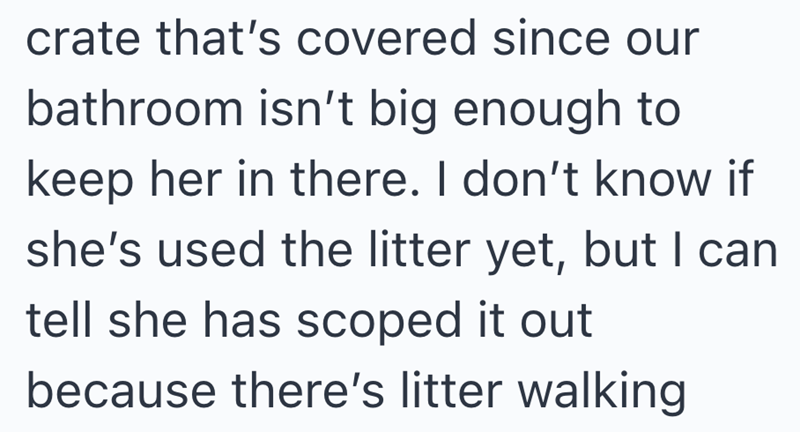 crate that's covered since our bathroom isn't big enough to keep her in there. I don't know if she's used the litter yet, but I can tell she has scoped it out because there's litter walking