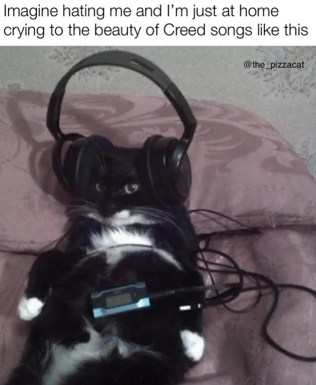 Imagine hating me and I'm just at home crying to the beauty of Creed songs like this @the_pizzacat