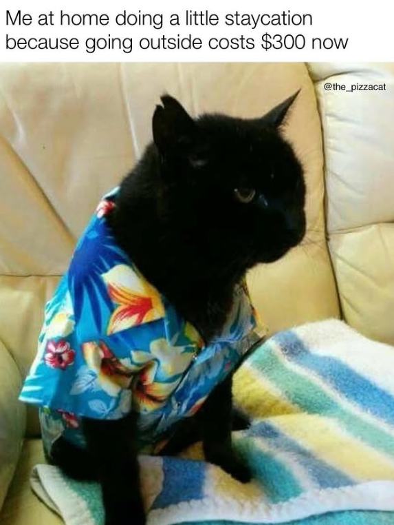 Me at home doing a little staycation because going outside costs $300 now @the_pizzacat