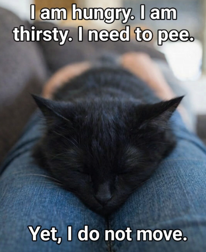I am hungry. I am thirsty. I need to pee. Yet, I do not move.