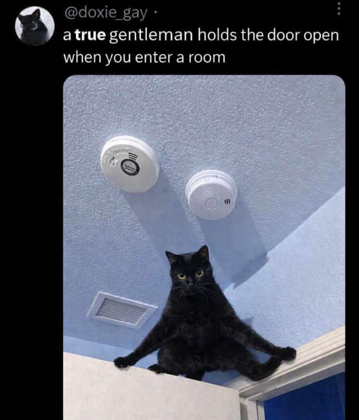 @doxie_gay. a true gentleman holds the door open when you enter a room "