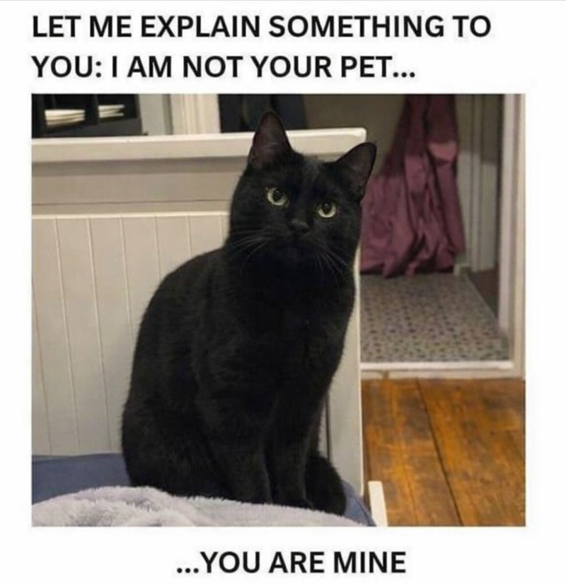 LET ME EXPLAIN SOMETHING TO YOU: I AM NOT YOUR PET... ...YOU ARE MINE