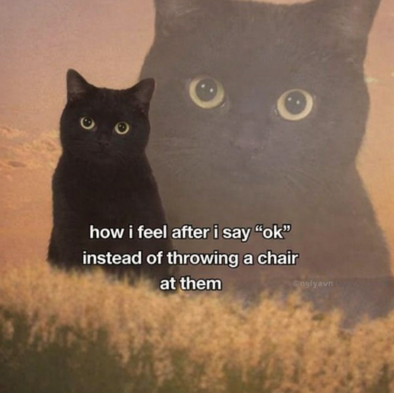 how i feel after i say "ok" instead of throwing a chair at them engiyavn
