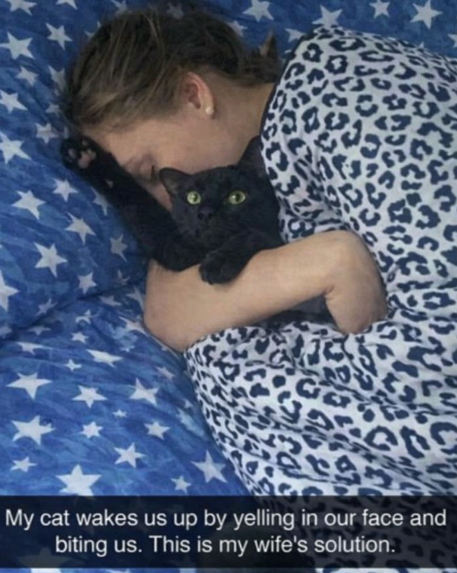 My cat wakes us up by yelling in our face and biting us. This is my wife's solution.