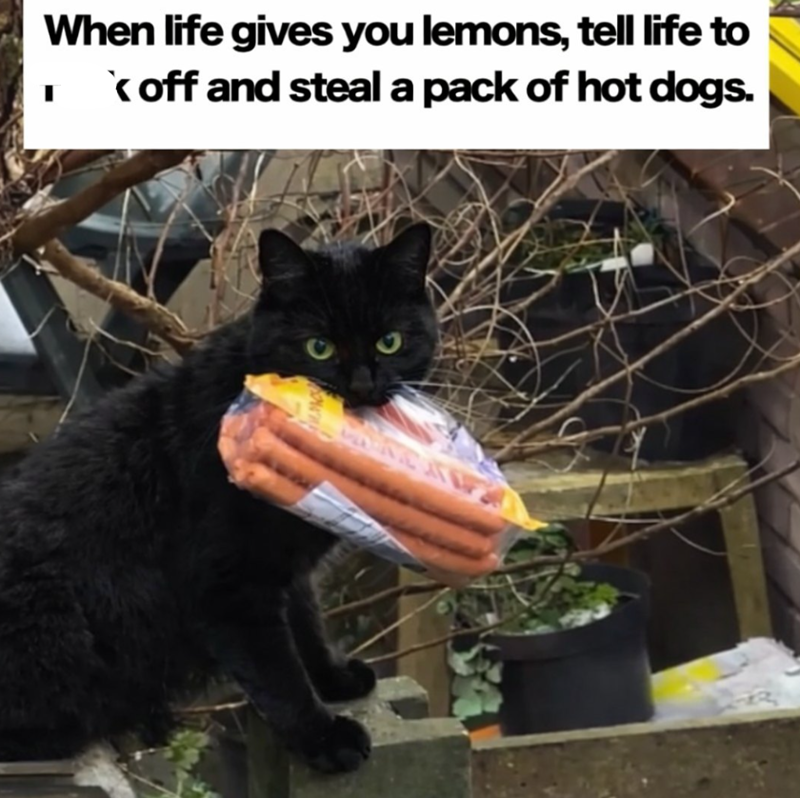 When life gives you lemons, tell life to off and steal a pack of hot dogs.