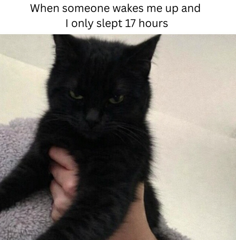When someone wakes me up and I only slept 17 hours