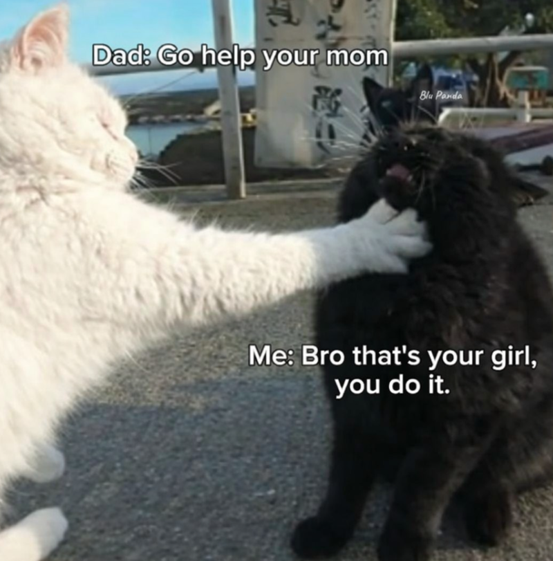Dad: Go help your mom Blu Panda Me: Bro that's your girl, you do it.