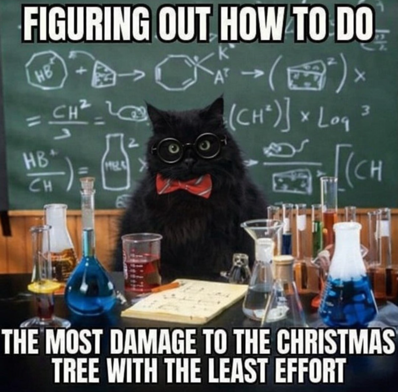 FIGURING OUT HOW TO DO HB HB CH MBLA CH AT -(²) > (CH)] Lo 3 [CH THE MOST DAMAGE TO THE CHRISTMAS TREE WITH THE LEAST EFFORT