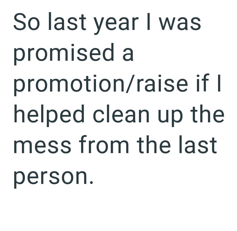 So last year I was promised a promotion/raise if I helped clean up the mess from the last person.