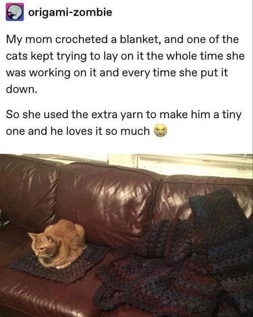 origami-zombie My mom crocheted a blanket, and one of the cats kept trying to lay on it the whole time she was working on it and every time she put it down. So she used the extra yarn to make him a tiny one and he loves it so much