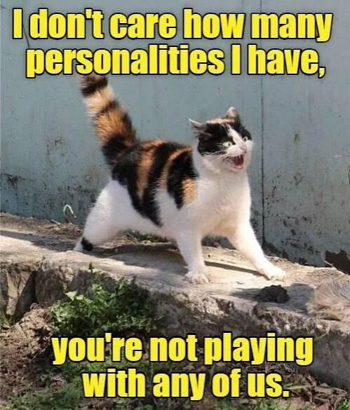 I don't care how many personalities I have, you're not playing with any of us.