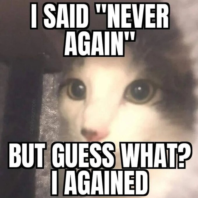cats4yourmom I SAID "NEVER AGAIN" BUT GUESS WHAT? I AGAINED