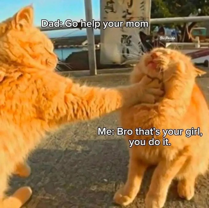 T Dad: Go help your mom Blu Panda Me: Bro that's your girl, you do it.