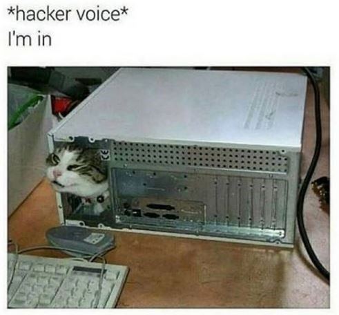 *hacker voice* I'm in