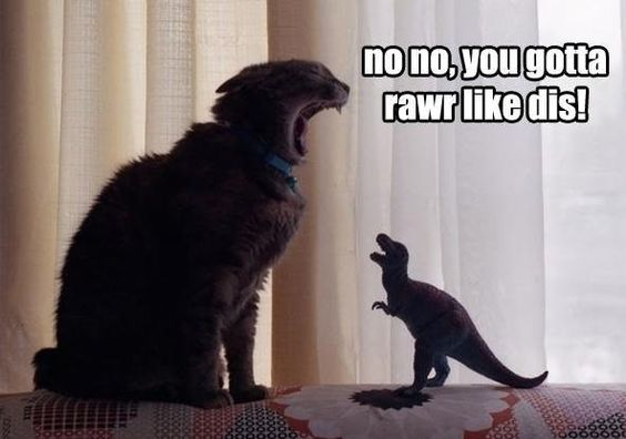 no no, you gotta rawr like dis!