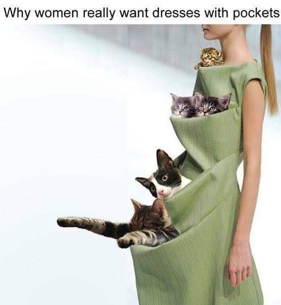 Why women really want dresses with pockets