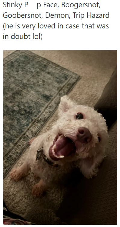 Stinky P p Face, Boogersnot, Goobersnot, Demon, Trip Hazard (he is very loved in case that was in doubt lol)