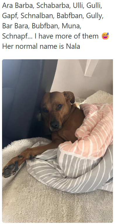 Ara Barba, Schabarba, Ulli, Gulli, Gapf, Schnalban, Babfban, Gully, Bar Bara, Bubfban, Muna, Schnapf... I have more of them Her normal name is Nala