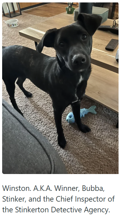 Winston. A.K.A. Winner, Bubba, Stinker, and the Chief Inspector of the Stinkerton Detective Agency.