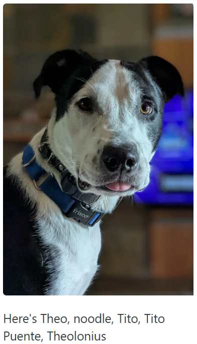 frisco Here's Theo, noodle, Tito, Tito Puente, Theolonius