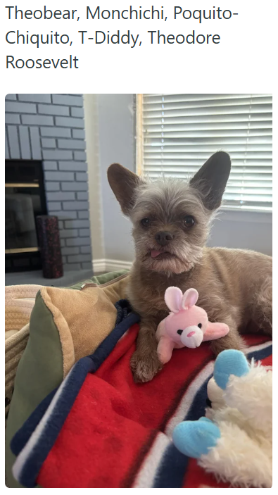Theobear, Monchichi, Poquito- Chiquito, T-Diddy, Theodore Roosevelt