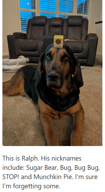 This is Ralph. His nicknames include: Sugar Bear, Bug, Bug Bug, STOP! and Munchkin Pie. I'm sure I'm forgetting some.