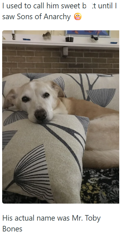 I used to call him sweet bit until I saw Sons of Anarchy ☺ His actual name was Mr. Toby Bones