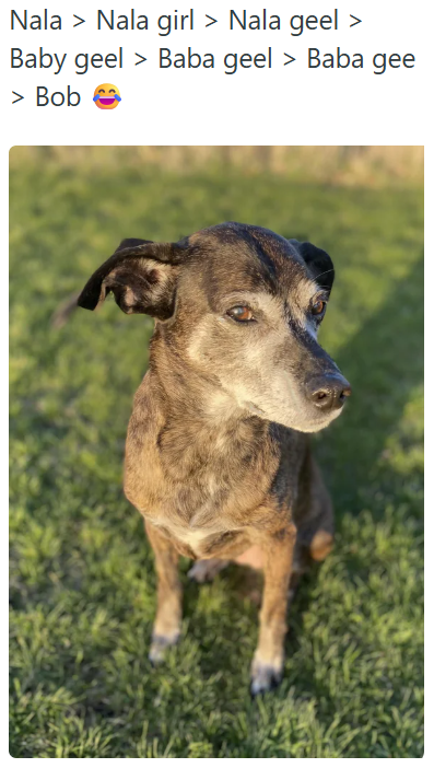 Nala > Nala girl > Nala geel > Baby geel > Baba geel > Baba gee > Bob