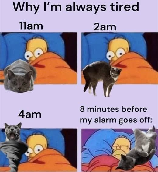 Why I'm always tired 11am 4am 2am 8 minutes before my alarm goes off: