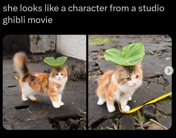 she looks like a character from a studio ghibli movie >