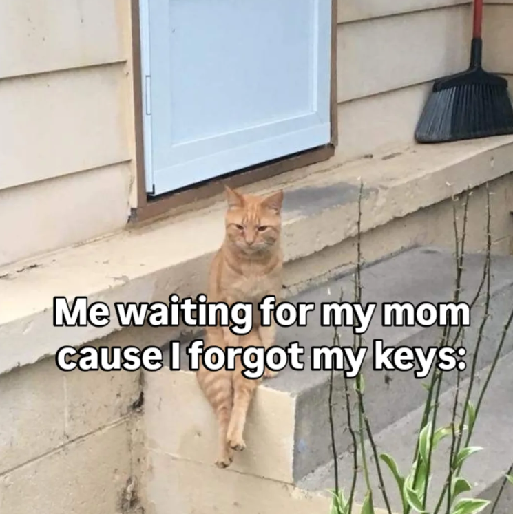 Me waiting for my mom cause I forgot my keys: