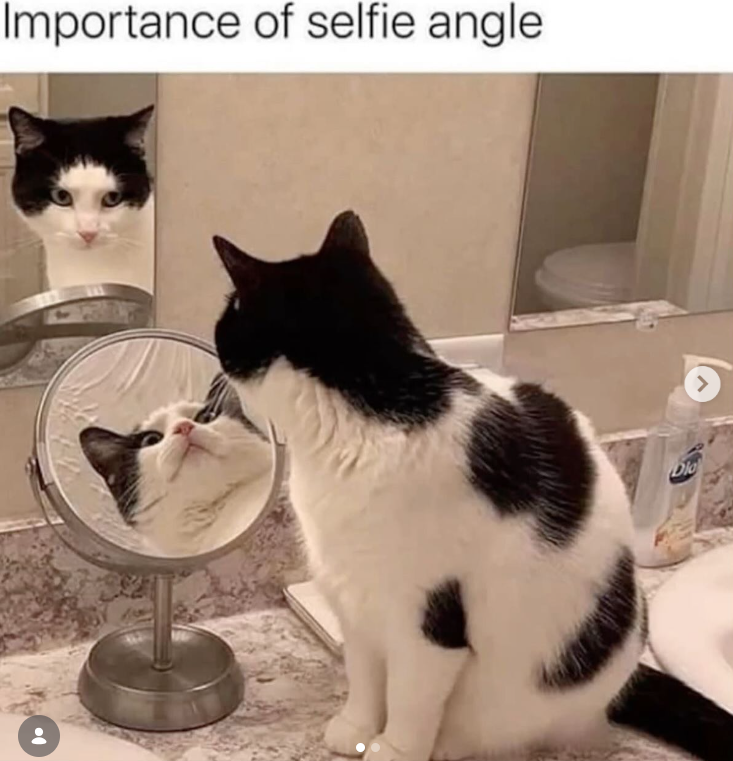 Importance of selfie angle Dio >