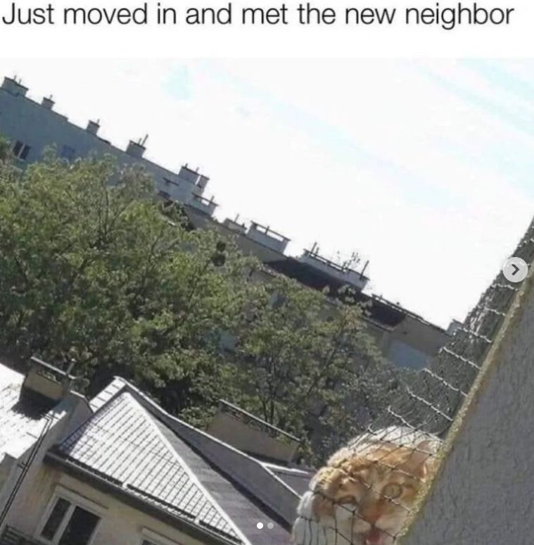 Just moved in and met the new neighbor >