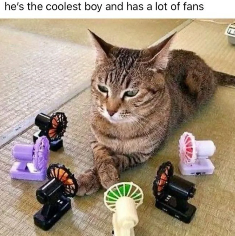 he's the coolest boy and has a lot of fans