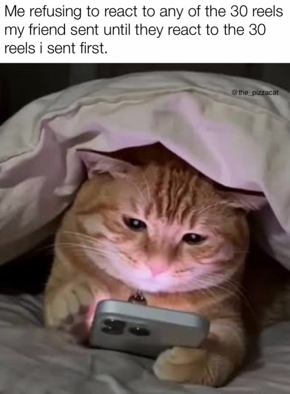 Me refusing to react to any of the 30 reels my friend sent until they react to the 30 reels i sent first. @the_pizzacat