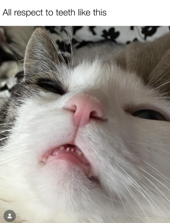 All respect to teeth like this 87680